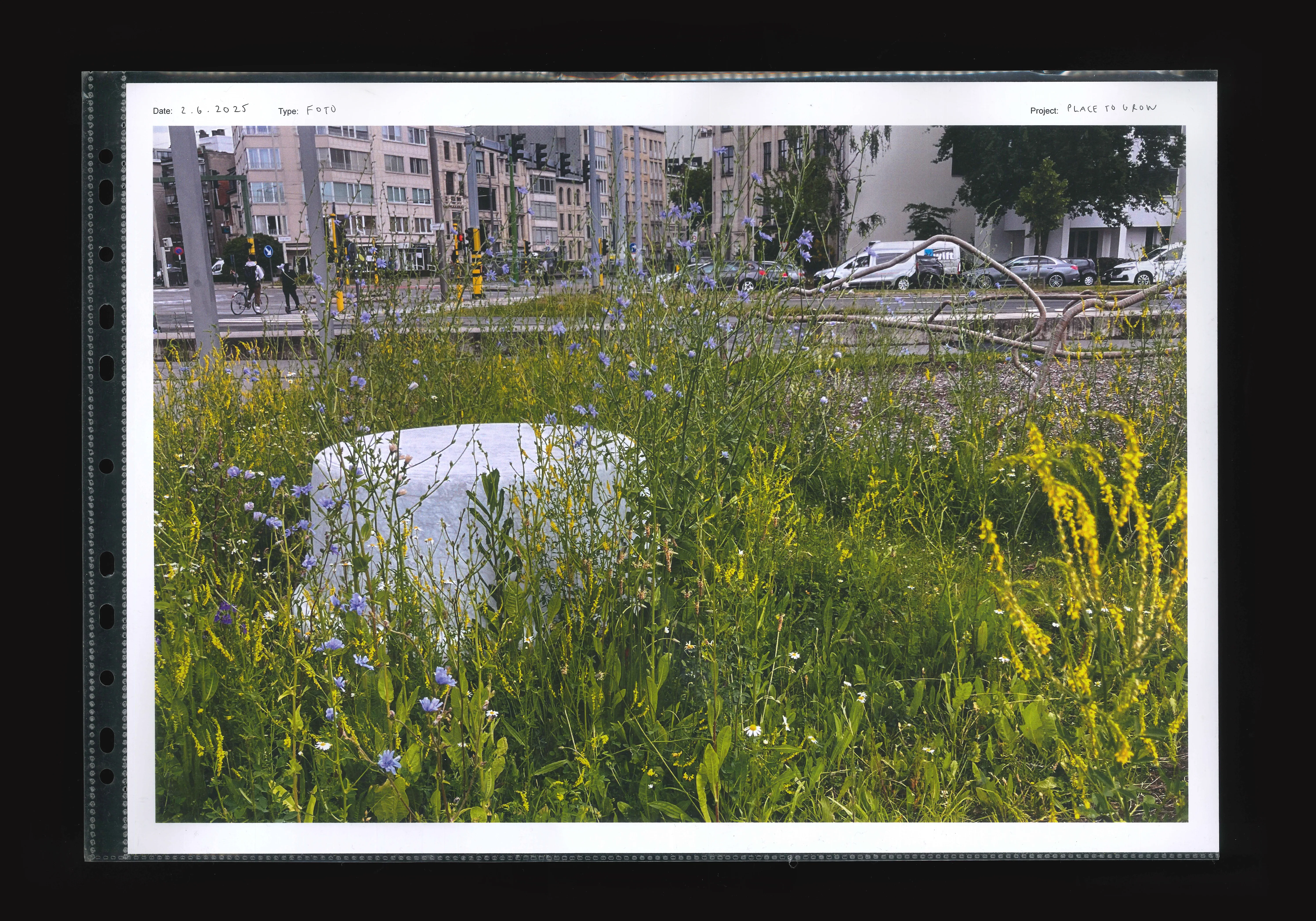 Project image
